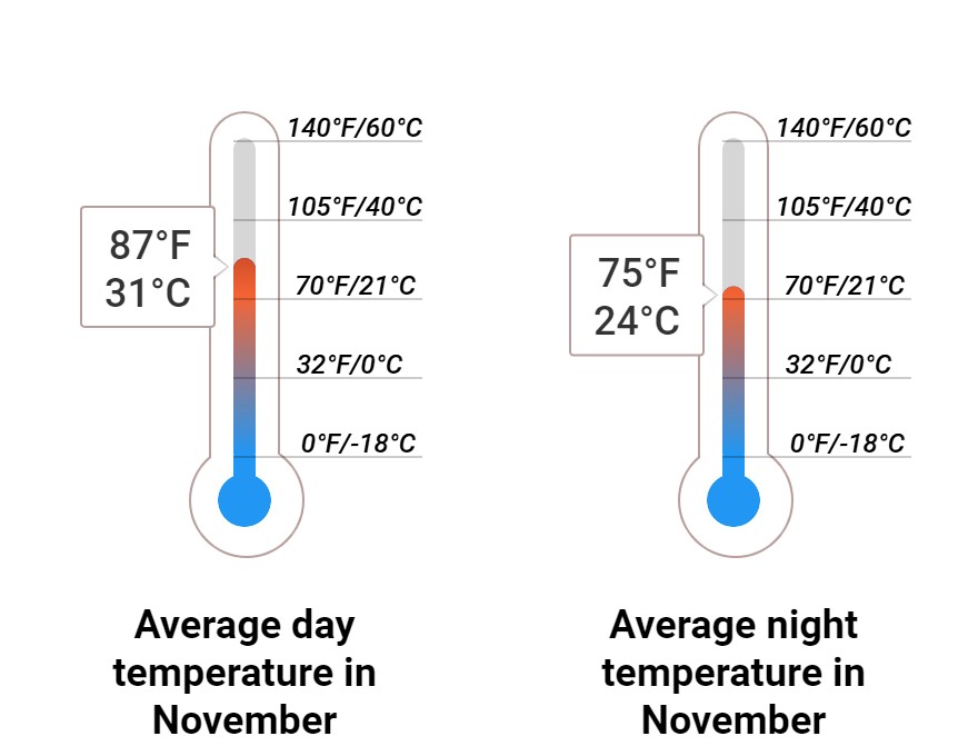 What to do in November in Aruba 2024 Winter Sun Expert